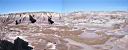 painted desert.jpg